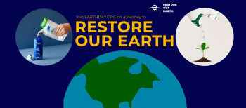 Día Internacional de La Tierra: 3 ejemplos de marcas con propósito