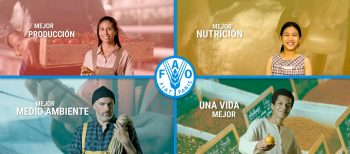 Día Mundial de la Alimentación: Tendencias para nutrir mentes y tomar acción